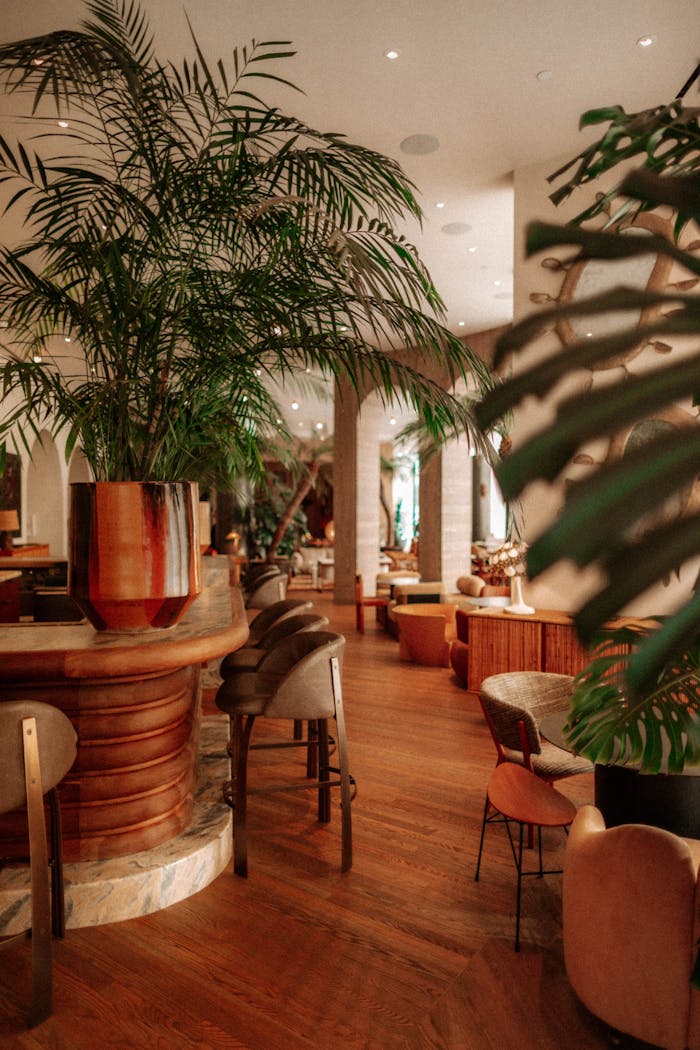 Sophisticated hotel lobby in Santa Monica featuring luxurious seating and vibrant green plants.